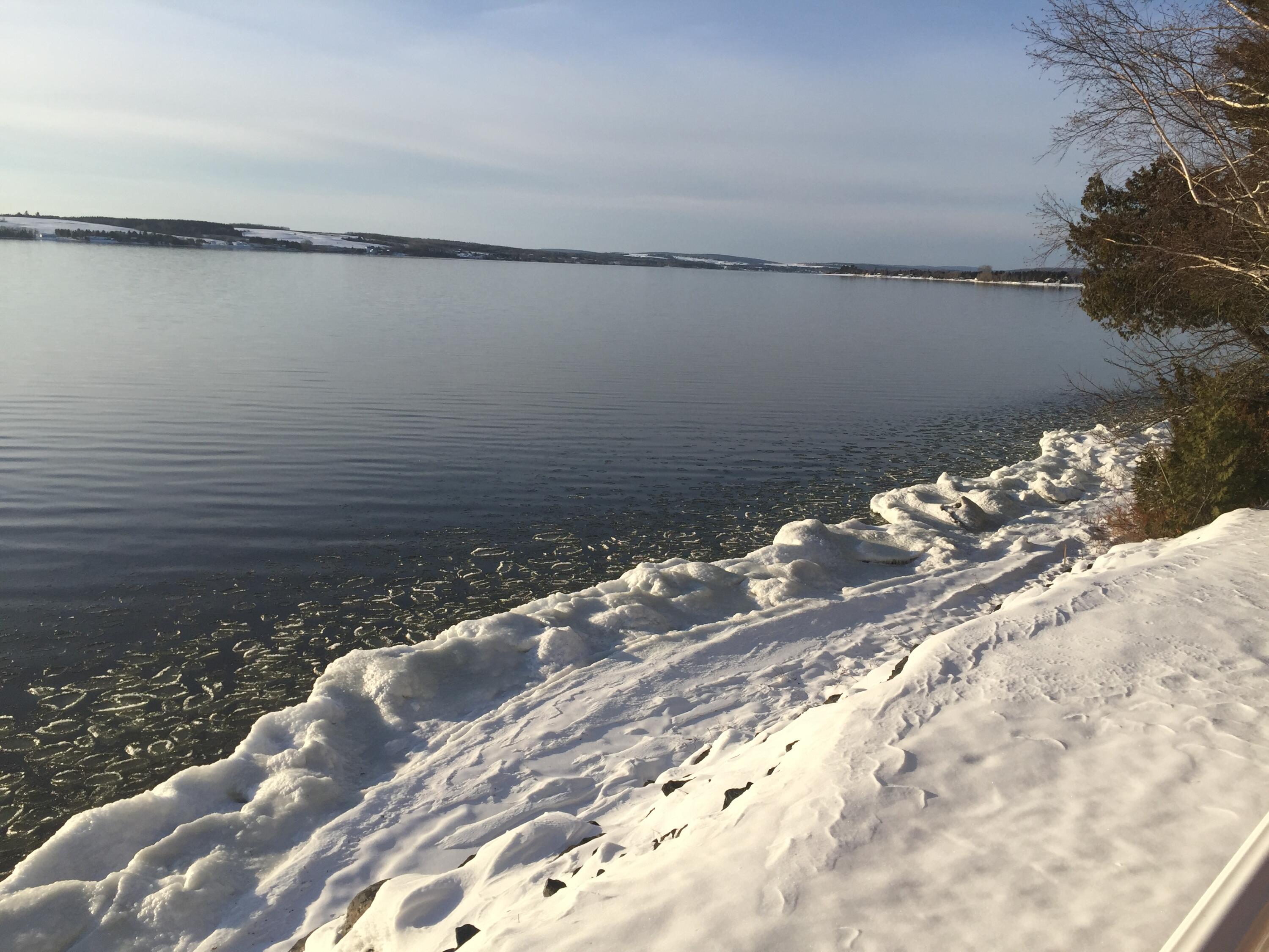 943 Lake Shore Road St. David, ME 04773 - Photo 122 of 142 IMG_5526