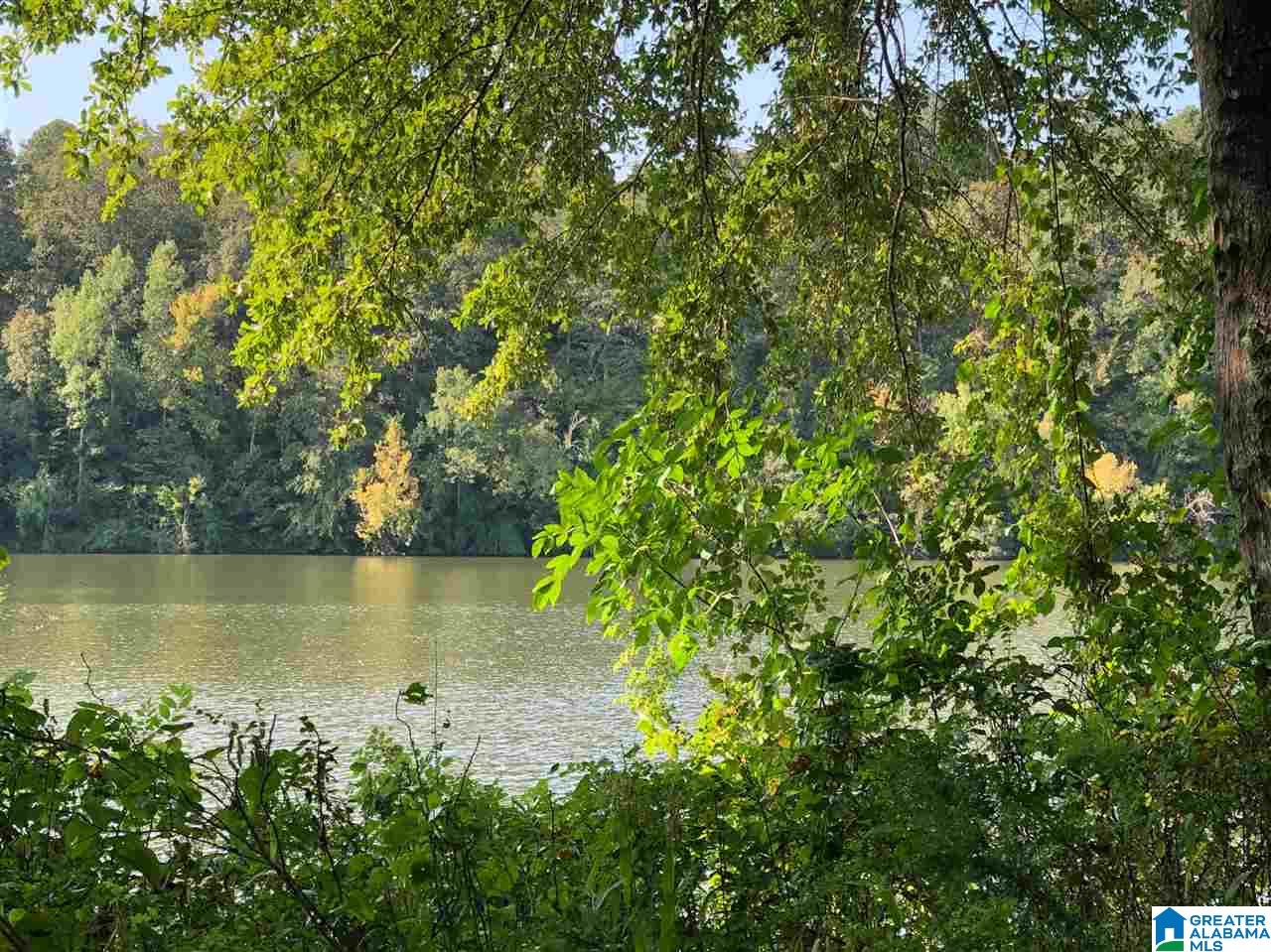 0 Brooks Road Ragland, AL 35131 - Photo 13 of 49