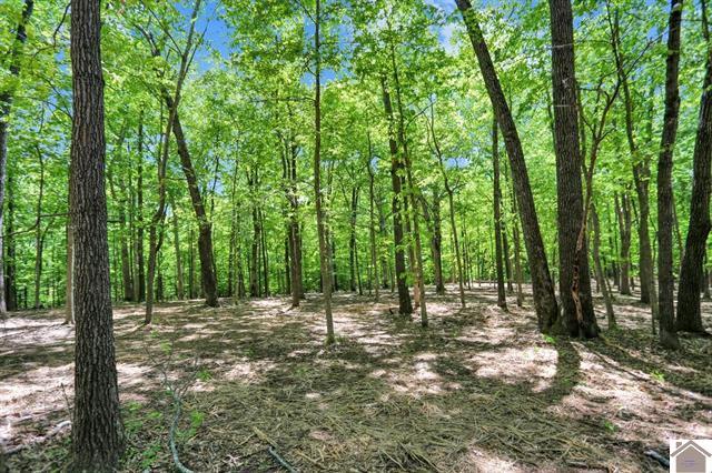 Lot 19-20 Post Oak Road Benton, KY 42025 - Photo 38 of 41 136588-ed7cb221-1cf6-415e-bb9b-ea4951de5