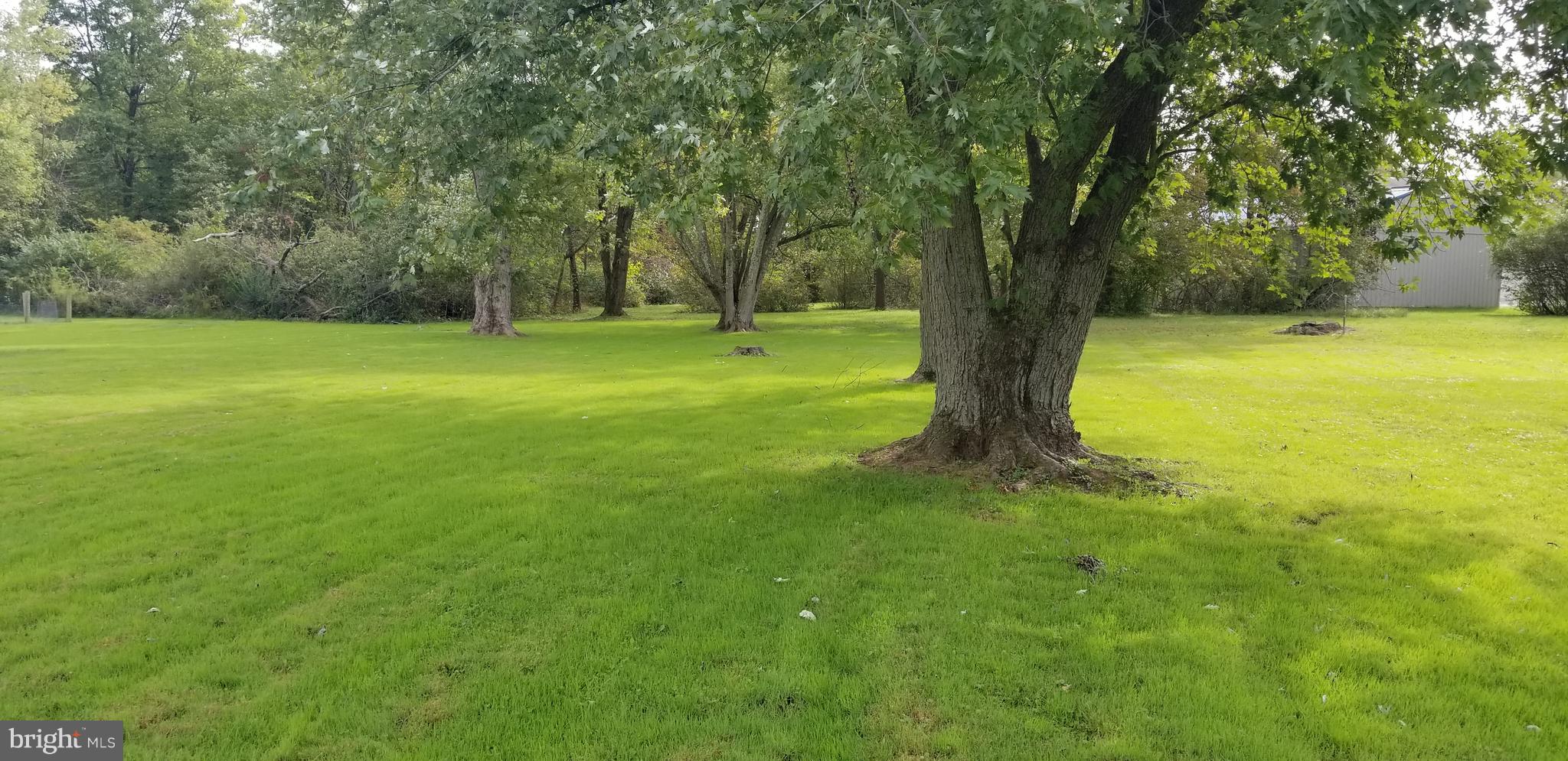 2561 Oakland Road Dover, PA 17315 - Photo 16 of 19 Beautiful lot
