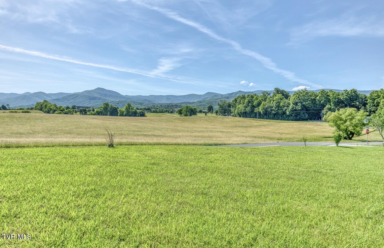 102 Greene County Line Road Chuckey, TN 37641 - Photo 46 of 58 IMG_0605