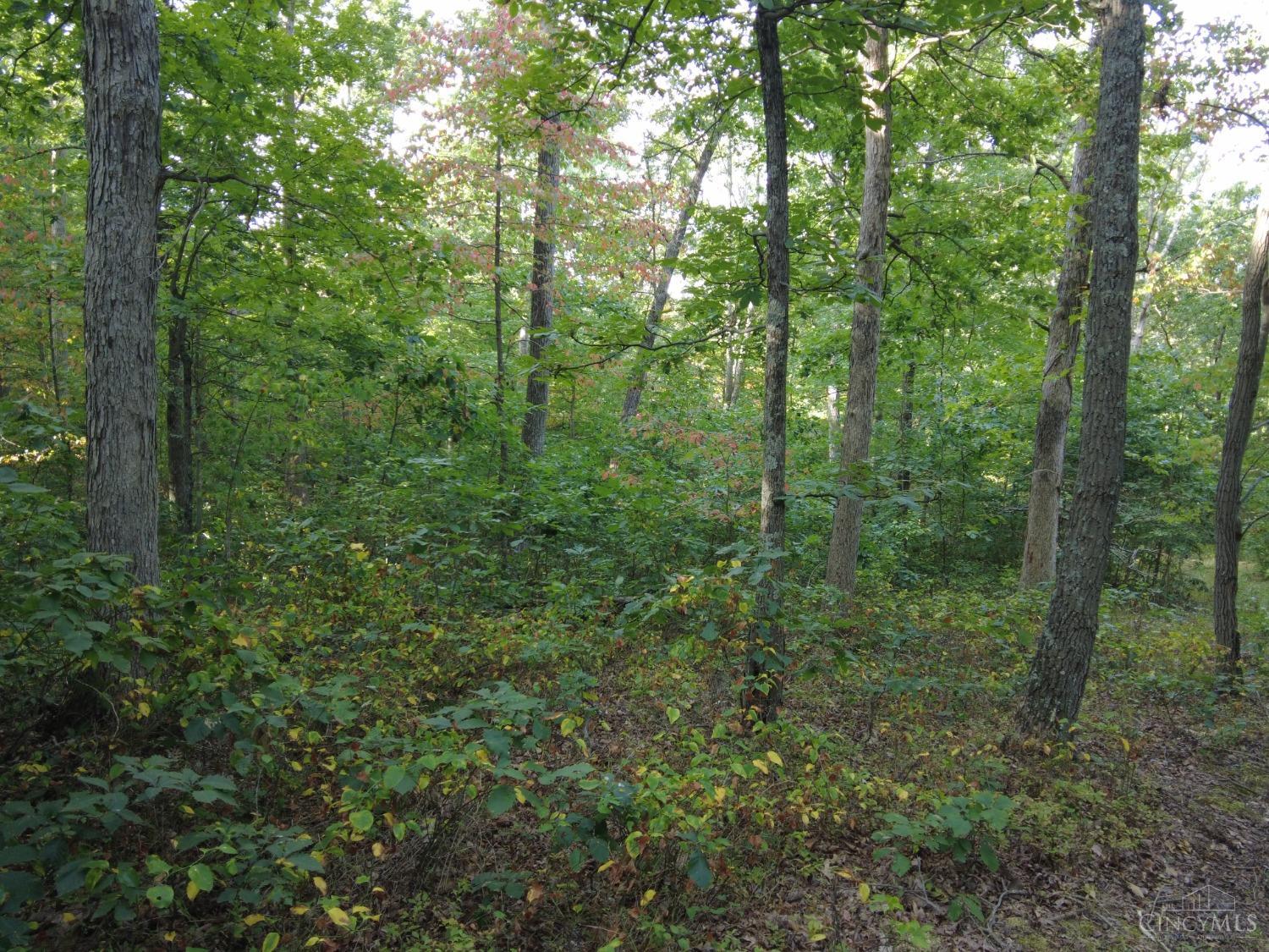 Ac Union Hill Road Peebles, OH 45660 - Photo 18 of 29