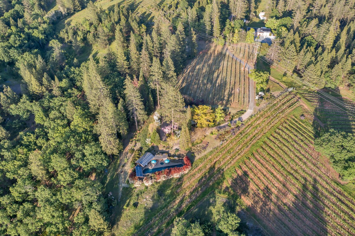2399 Kingsgate Road Placerville, CA 95667 - Photo 62 of 89