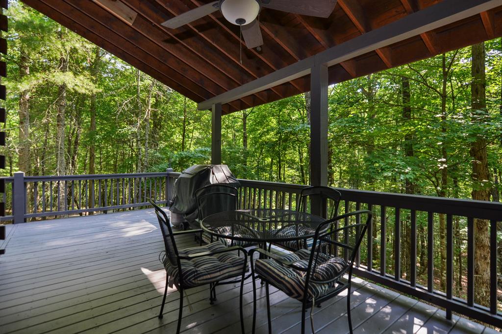 63 Bushy Head Road Cherry Log, GA 30522 - Photo 11 of 47 Gallery Image 11
