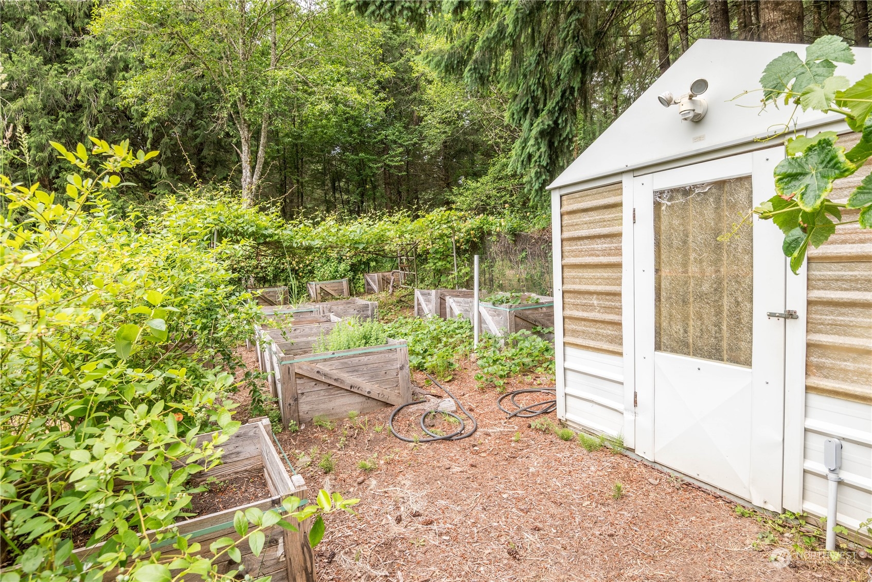 106 North Hendrickson Road Vader, WA 98593 - Photo 31 of 40 Gallery Image 31