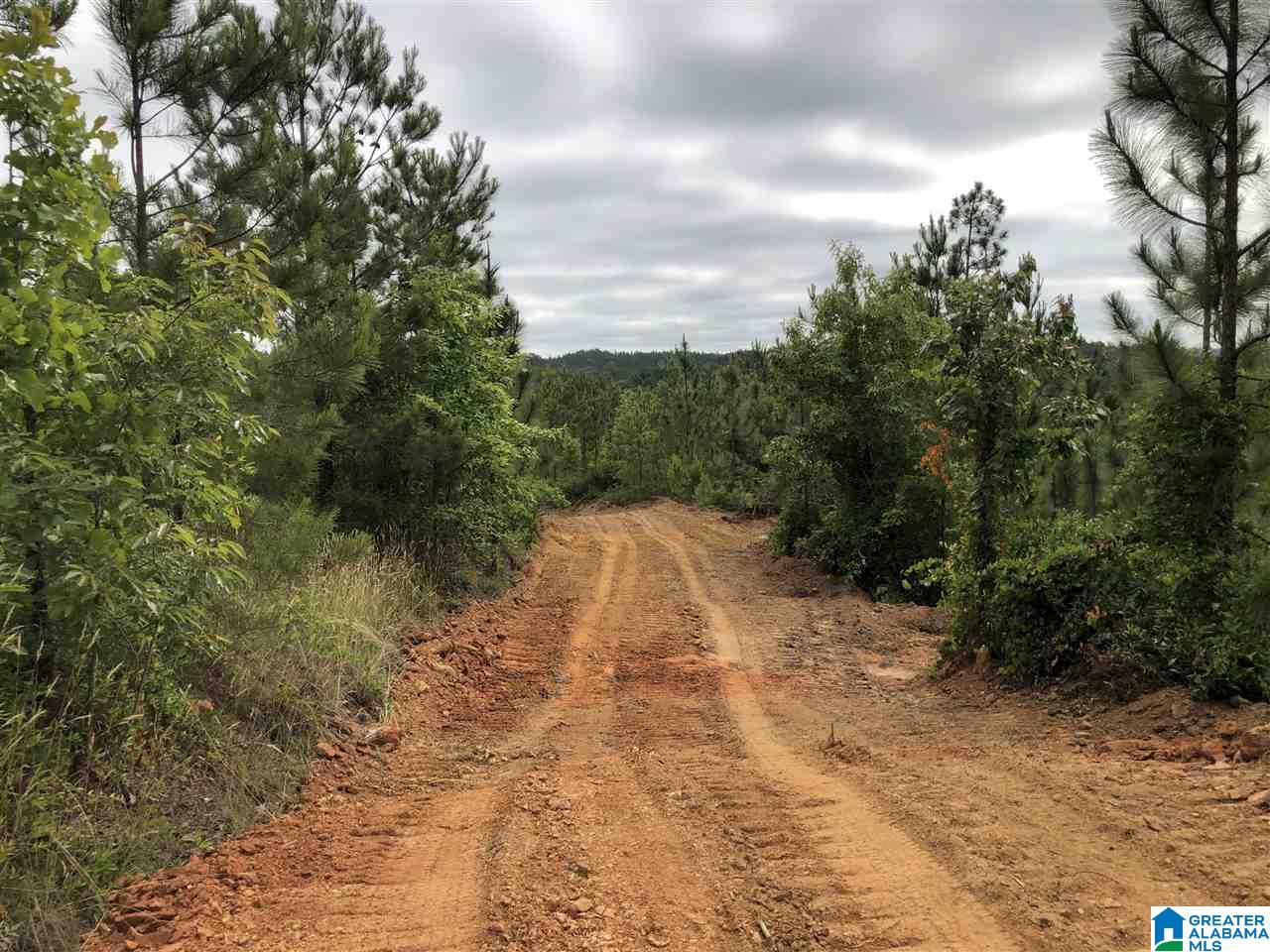 119-acres Double Branch Road, Unit 119 ACRES Marion, AL 36756 - Photo 24 of 26