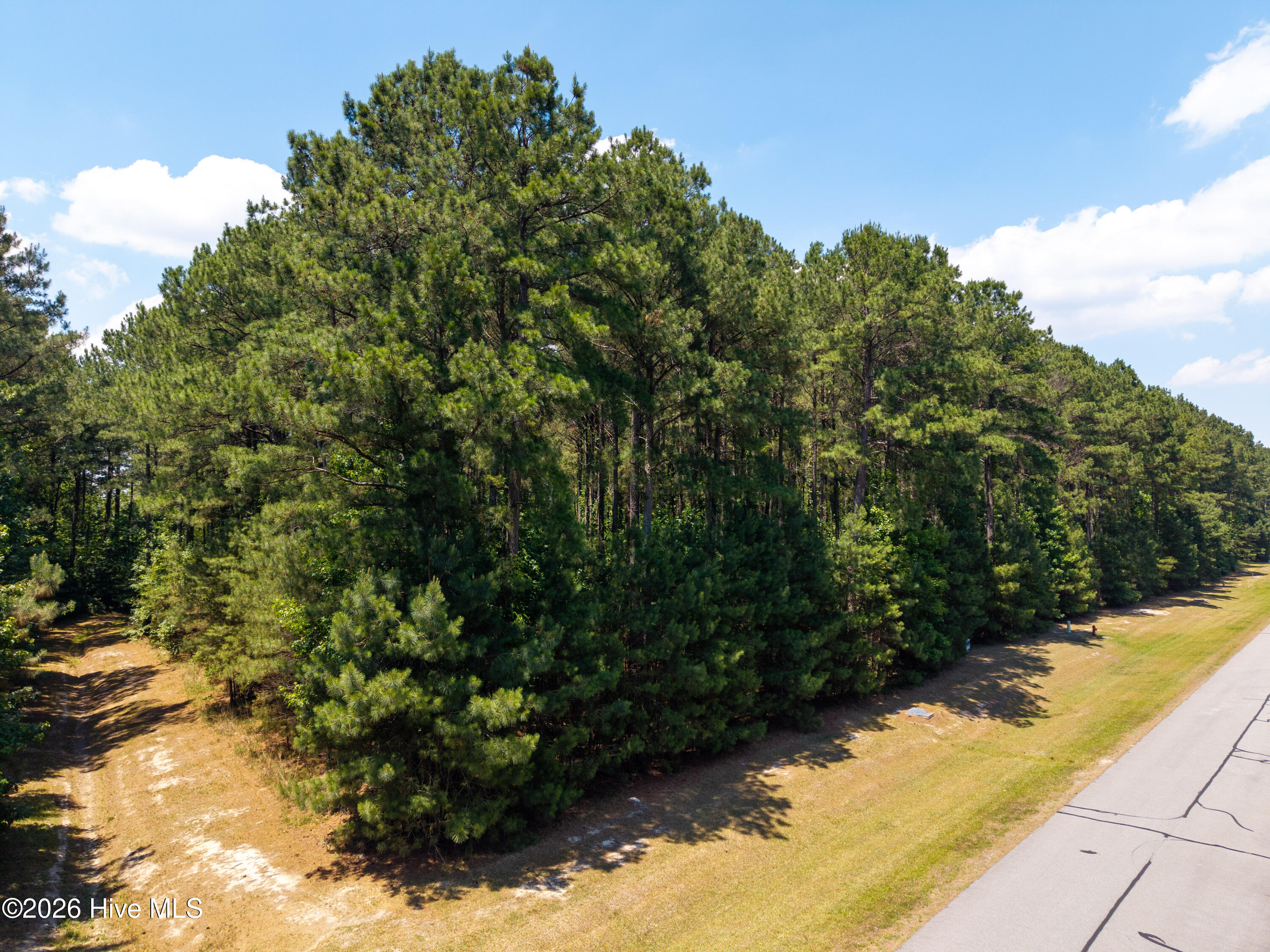 405 Riversound Drive Edenton, NC 27932 - Photo 15 of 15