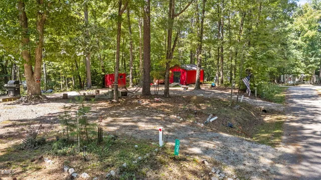 a childrens park with lots of trees and plants