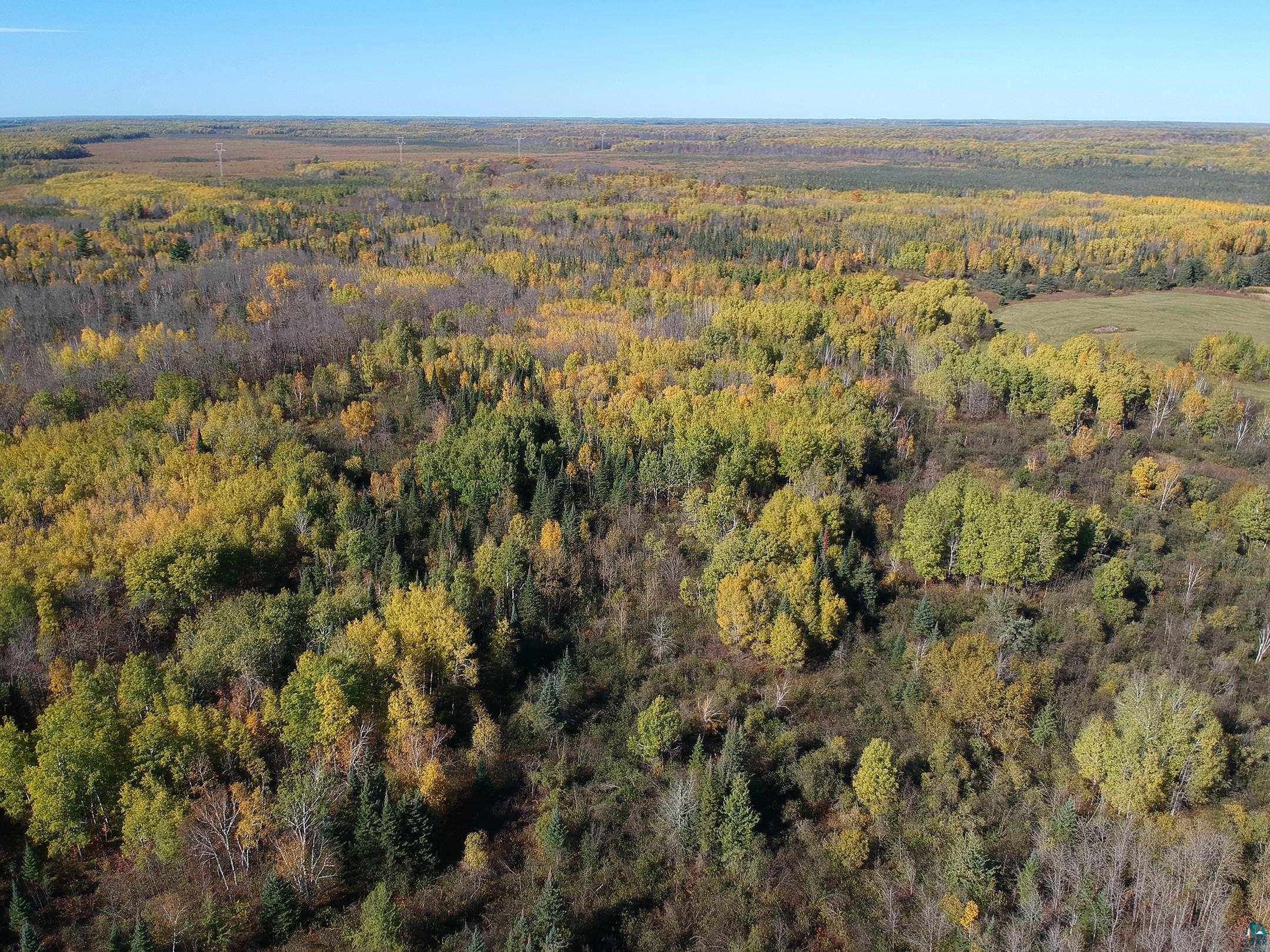 6101 Herranen Road Wright, MN 55798 - Photo 1 of 23 Gallery Image 1