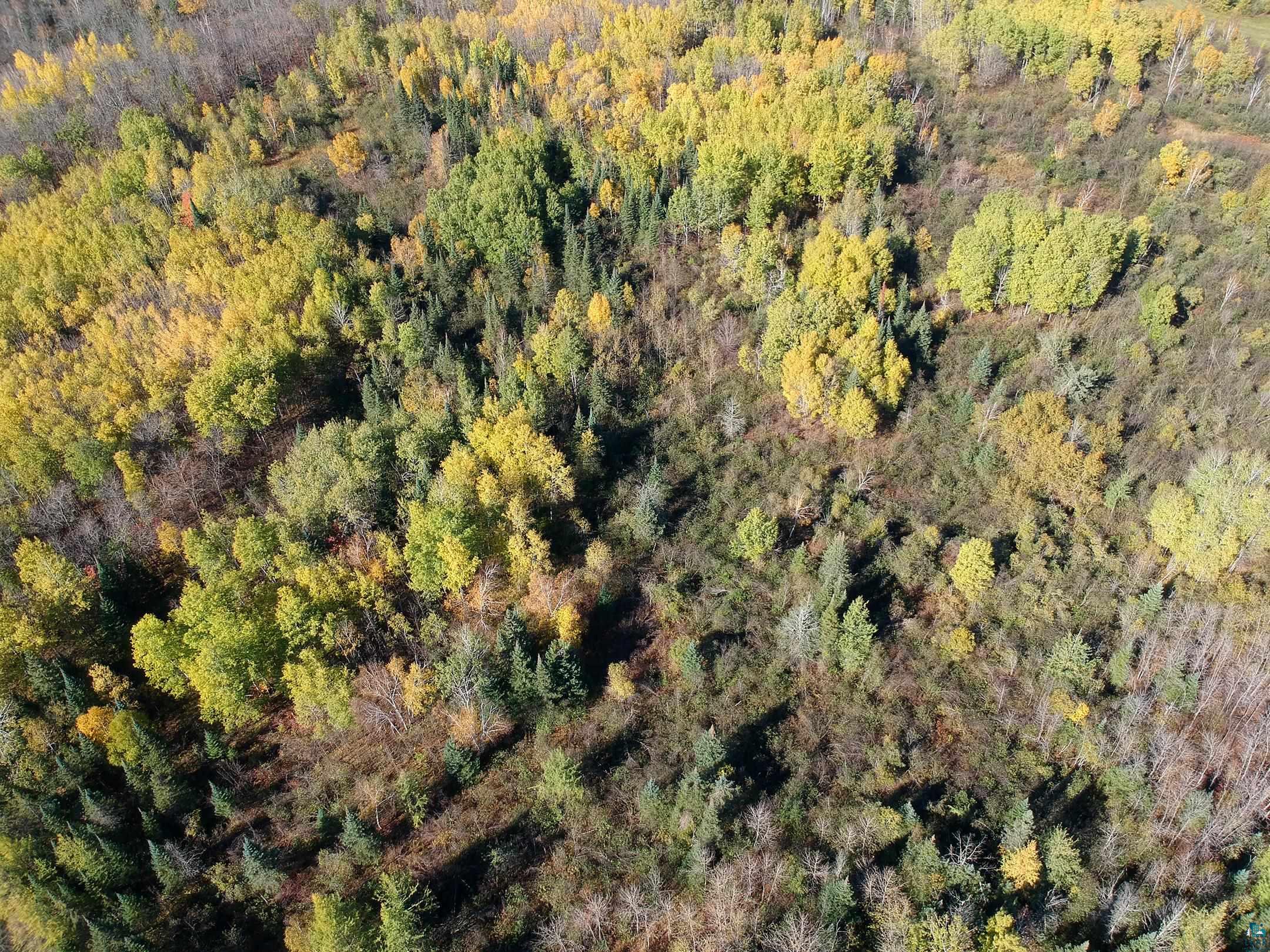 6101 Herranen Road Wright, MN 55798 - Photo 20 of 23 Gallery Image 20