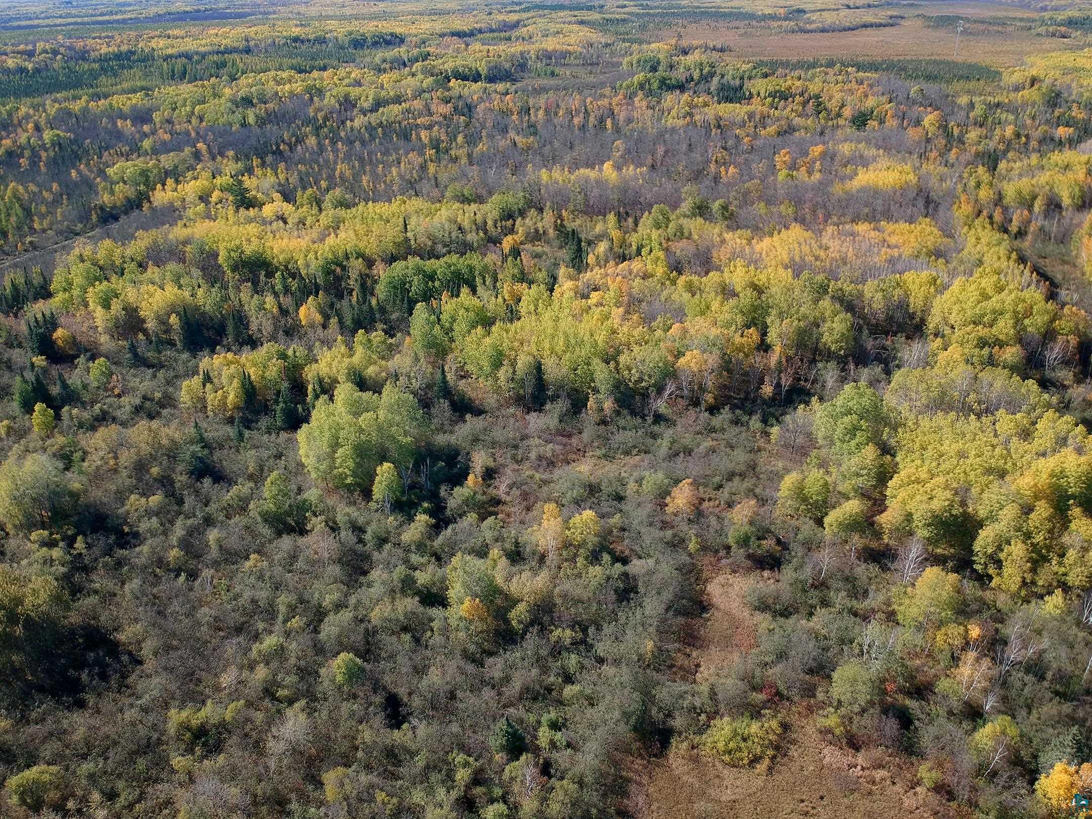 6101 Herranen Road Wright, MN 55798 - Photo 7 of 23 Gallery Image 7
