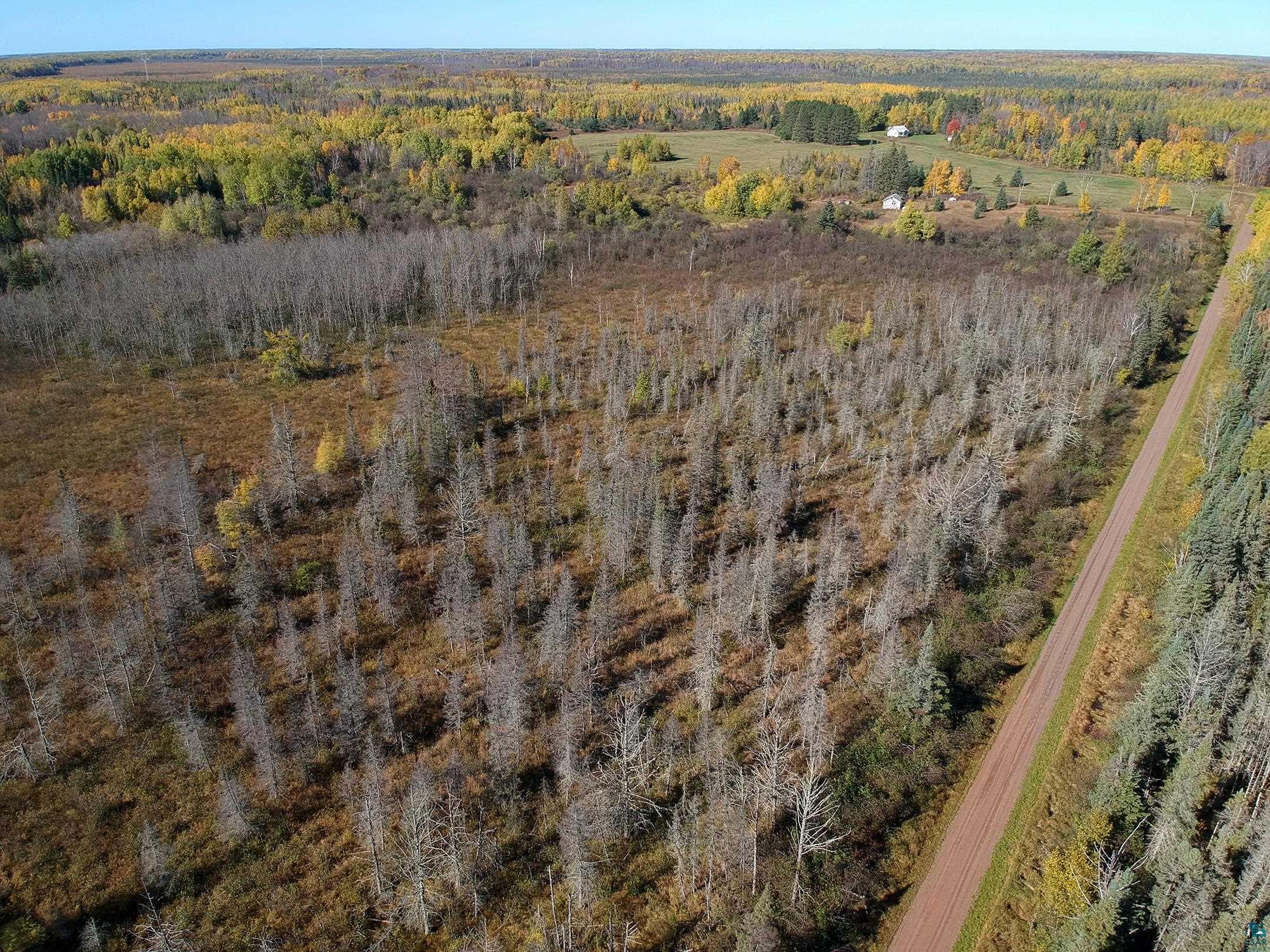 6101 Herranen Road Wright, MN 55798 - Photo 8 of 23 Gallery Image 8