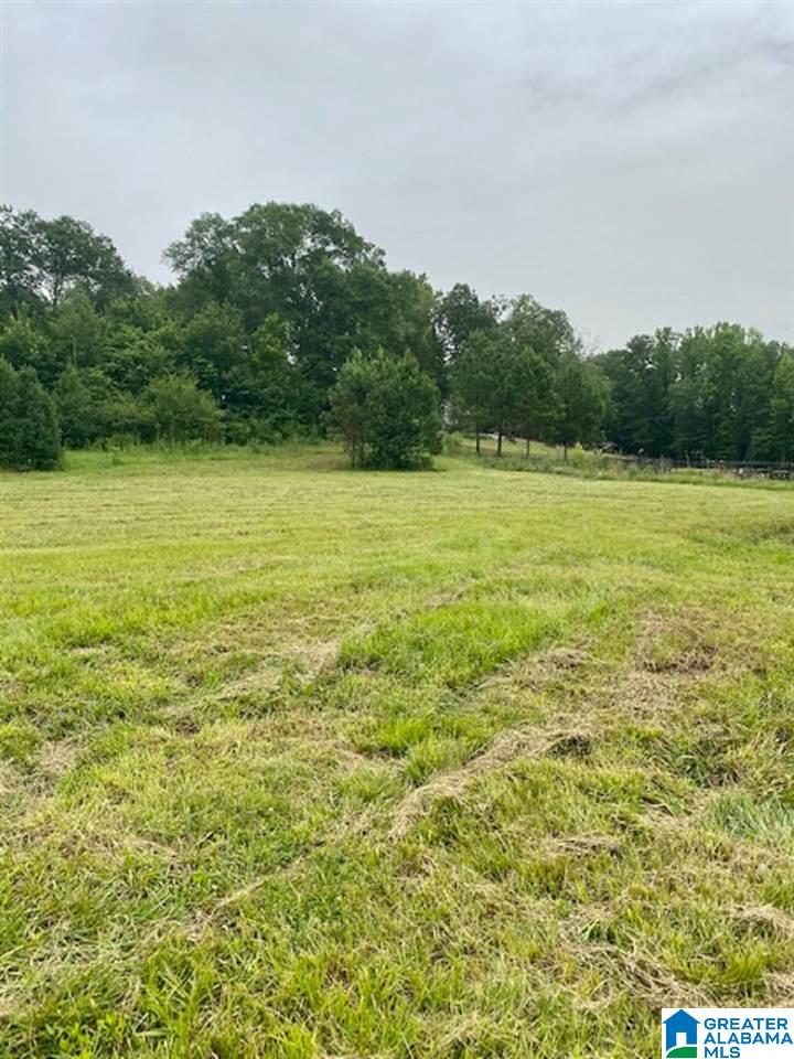 Masters Road, Unit 5 Pell City, AL 35128 - Photo 6 of 9 Gallery Image 6