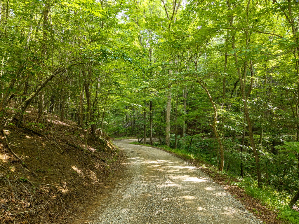 673 Harold Pritchett Road Ellijay, GA 30540 - Photo 6 of 45 Gallery Image 6