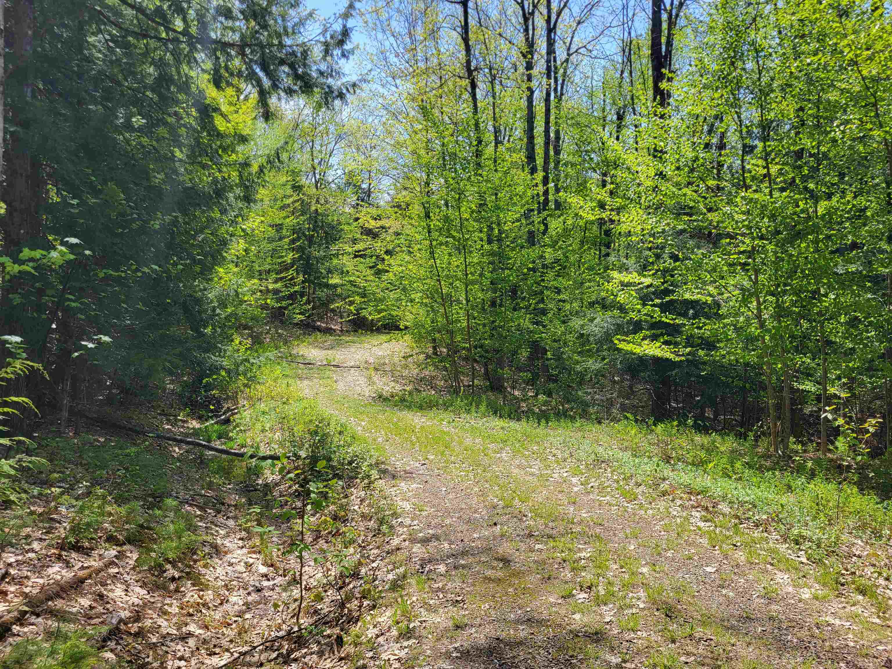 390 Mathews Road, Unit 6 Alexandria, NH 03222 - Photo 19 of 25