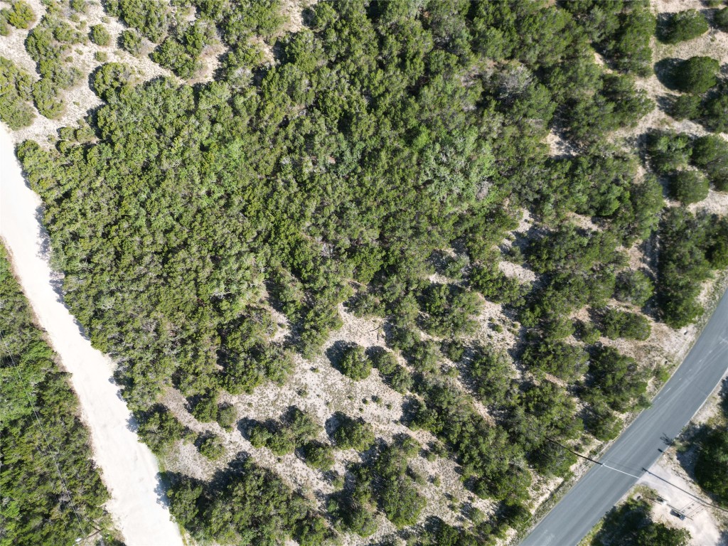 Tbd Anderson Trail Leander, TX 78641 - Photo 3 of 18 a view of a large yard with lots of bushes