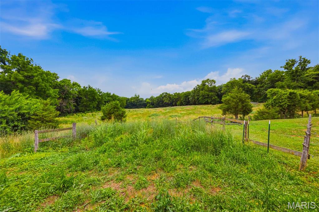 3245 Cedar Falls Road Bonne Terre, MO 63628 - Photo 77 of 99