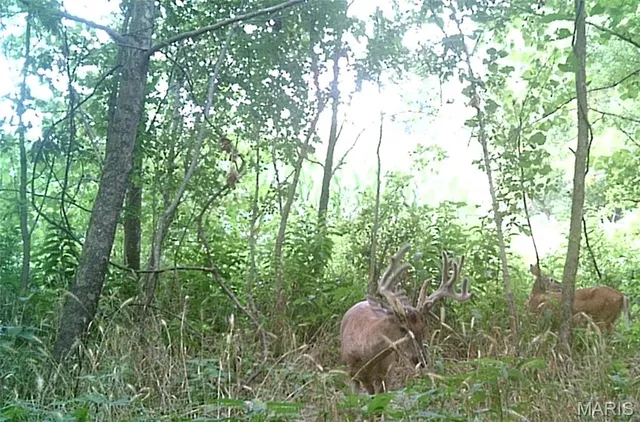 $1,474,900 | 1306 State Rte J, Fayette, MO 65248