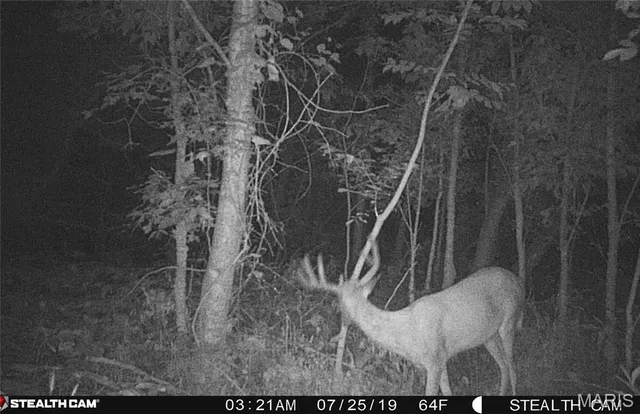 $1,474,900 | 1306 State Rte J, Fayette, MO 65248