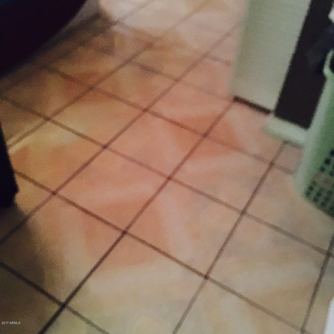 6113 West Osborn Road Phoenix, AZ 85033 - Photo 3 of 12 flooring2
