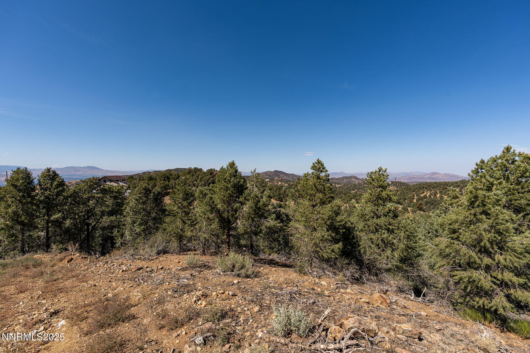21281 Highland Road Reno, NV 89521 - Photo 7 of 20 a view of a dry yard with trees in the background