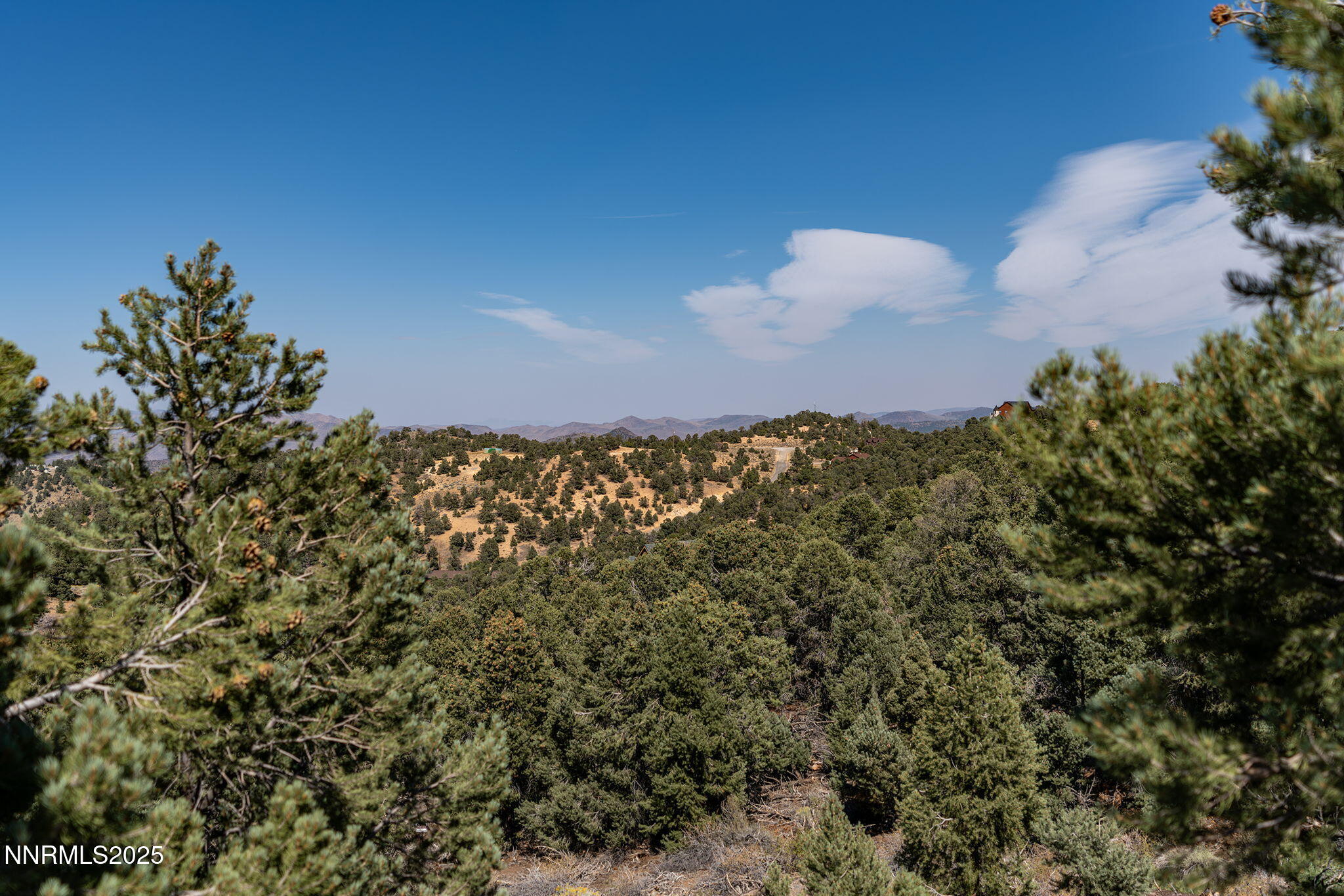 21281 Highland Road Reno, NV 89521 - Photo 9 of 20 a view of a bunch of trees
