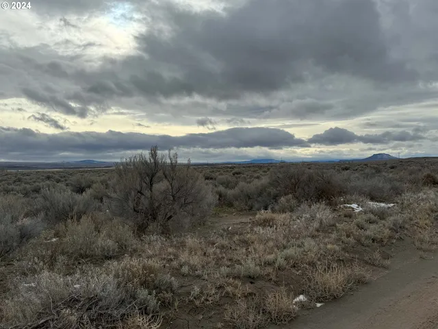 a view of a bunch of trees in background