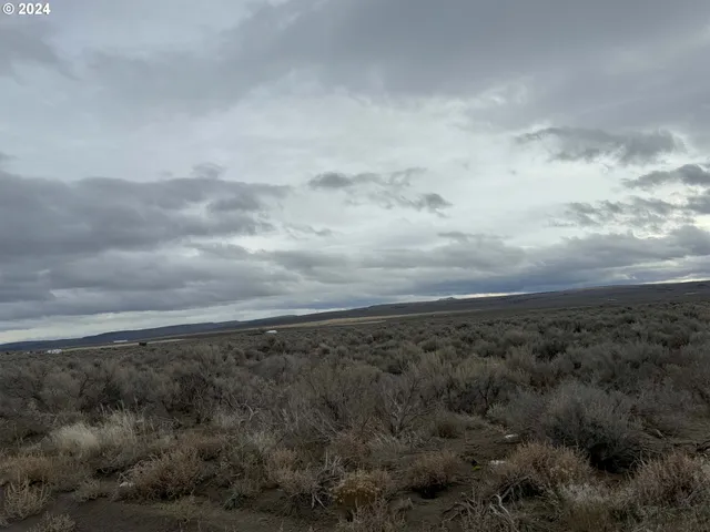 a view of a dry yard with wooden fence