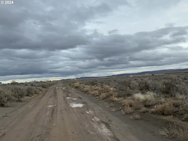 a view of a dry yard with wooden fence