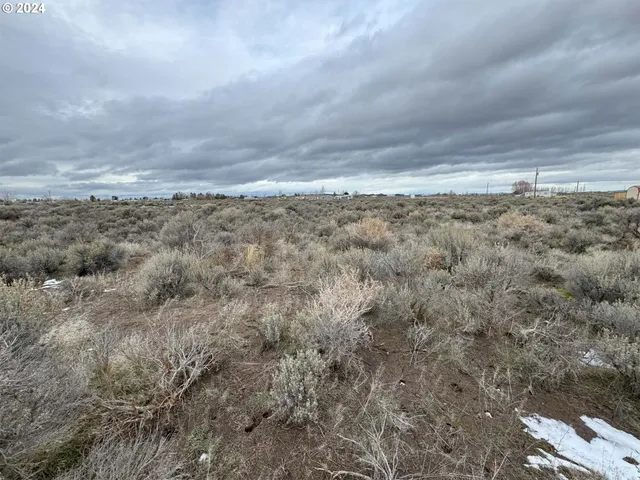 a view of a dry yard with wooden floor and fence