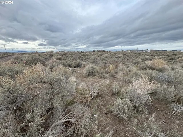 a view of a dry yard with wooden fence