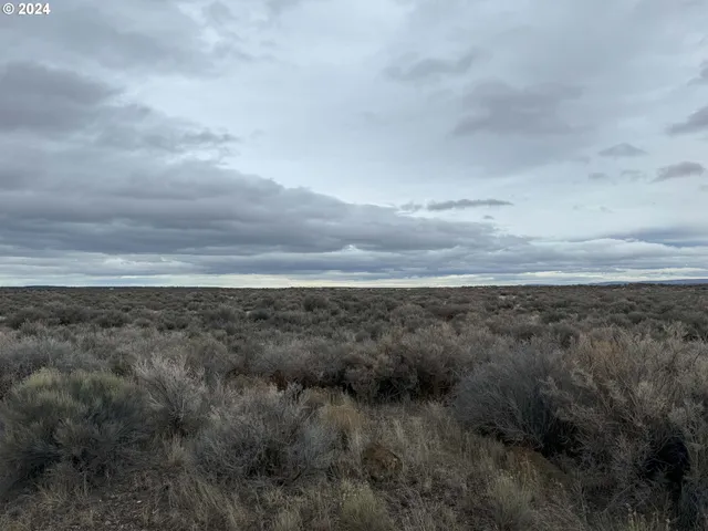 a view of beach and ocean