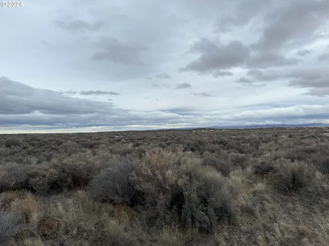 a view of a dry space with lots of trees