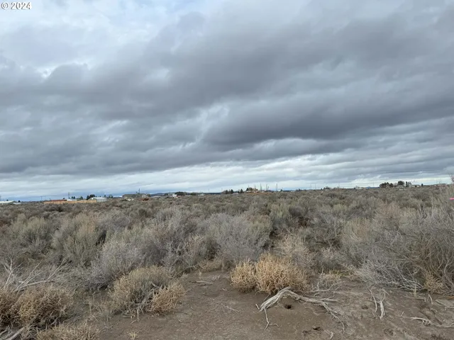a view of beach and covered with fog