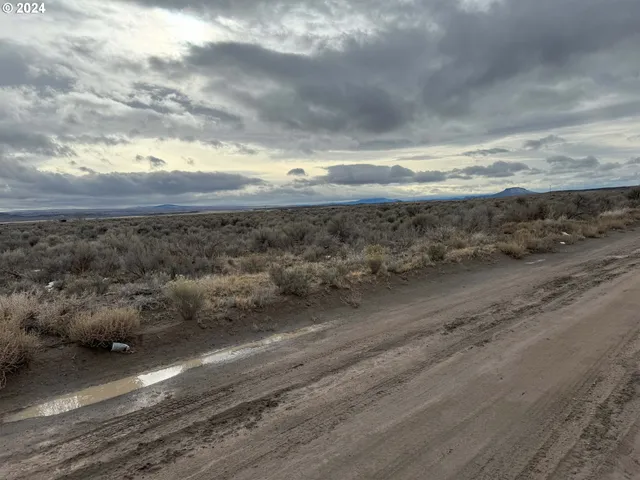 a view of an ocean beach