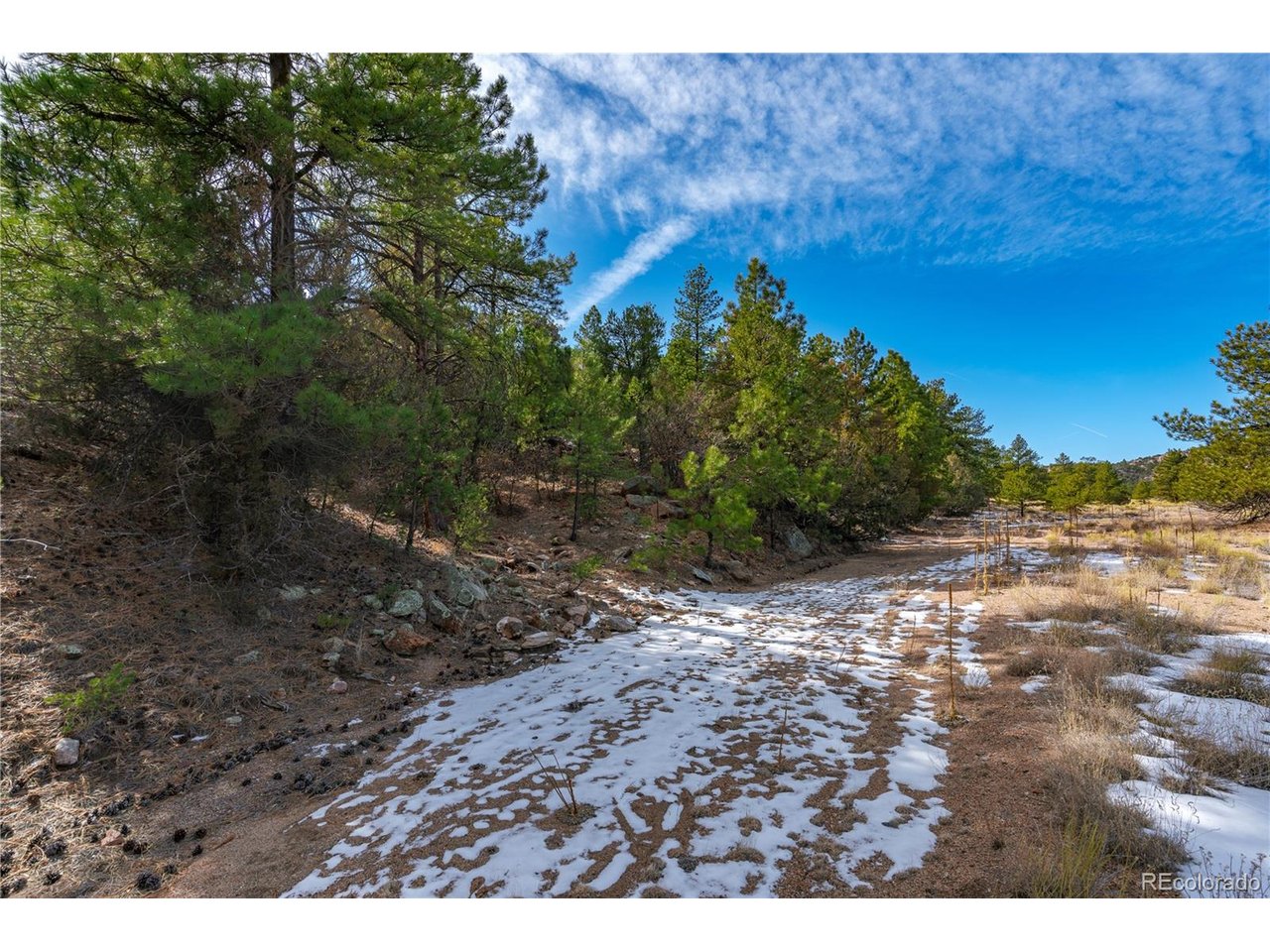 10 Prairie Dog Road Cotopaxi, CO 81223 - Photo 11 of 20 a view of a yard with a tree