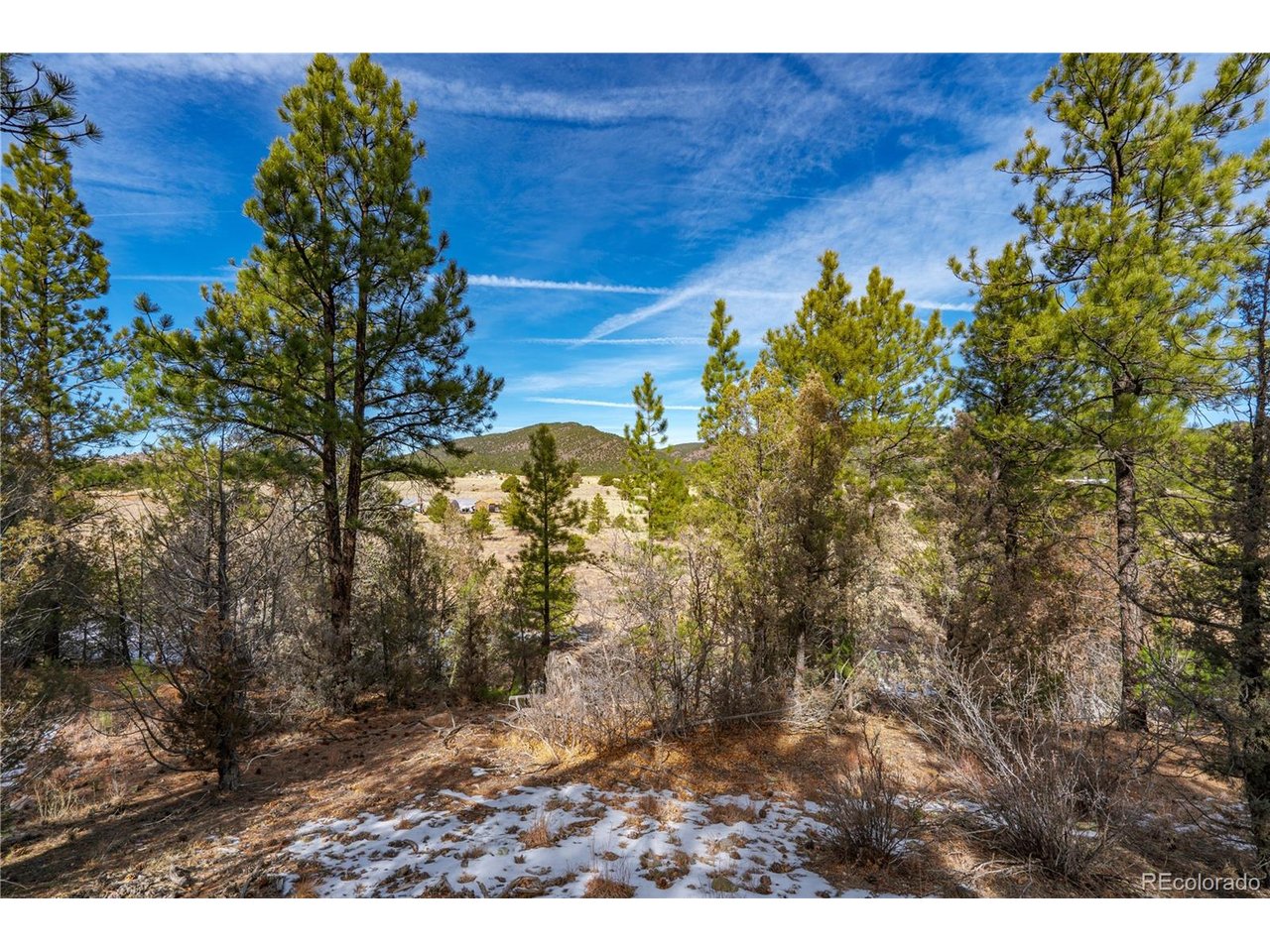 10 Prairie Dog Road Cotopaxi, CO 81223 - Photo 12 of 20 a view of a yard