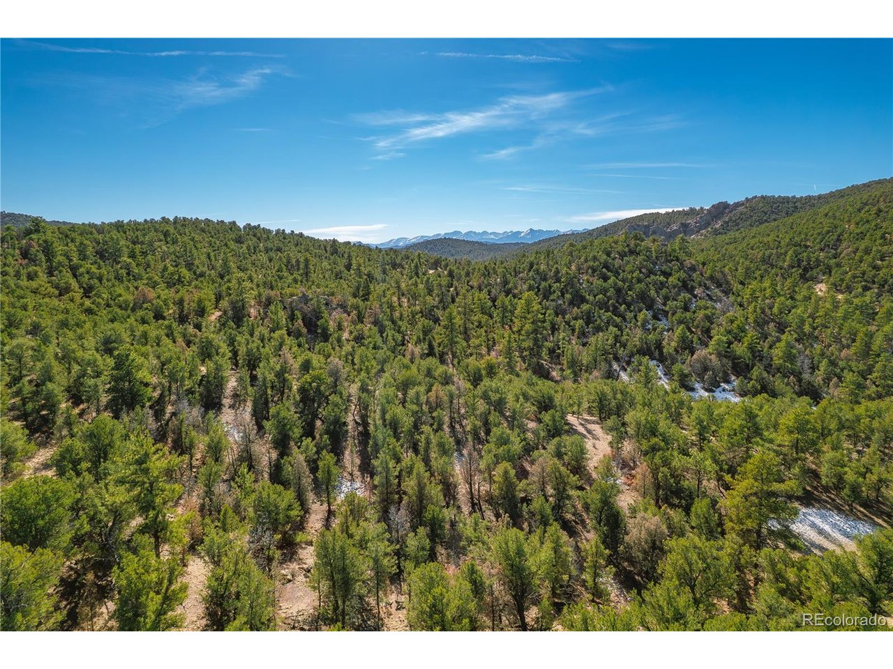 10 Prairie Dog Road Cotopaxi, CO 81223 - Photo 16 of 20 a view of a city with lush green forest