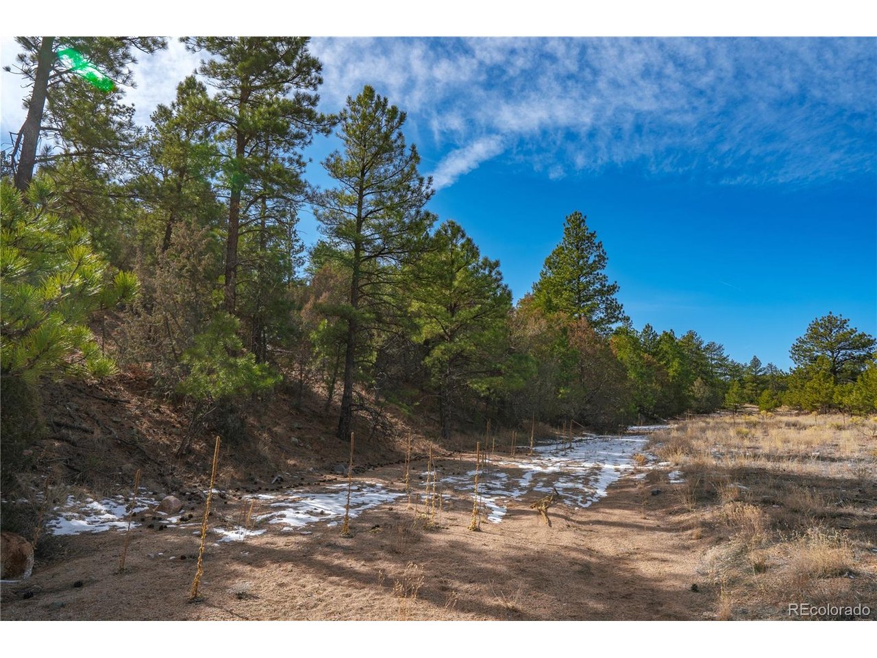 10 Prairie Dog Road Cotopaxi, CO 81223 - Photo 4 of 20 a view of a yard with a tree