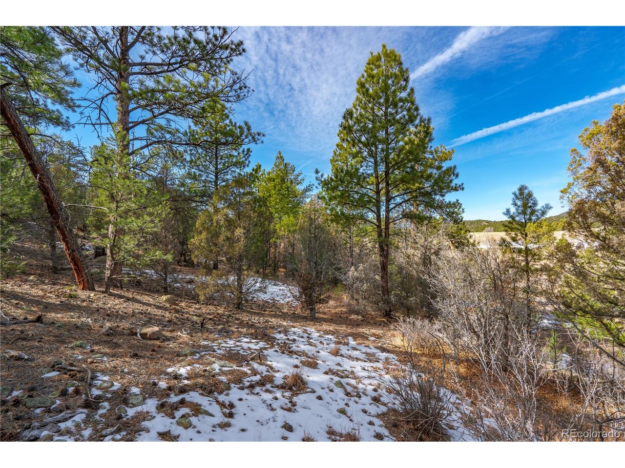 10 Prairie Dog Road Cotopaxi, CO 81223 - Photo 5 of 20 a backyard of a house with lots of green space