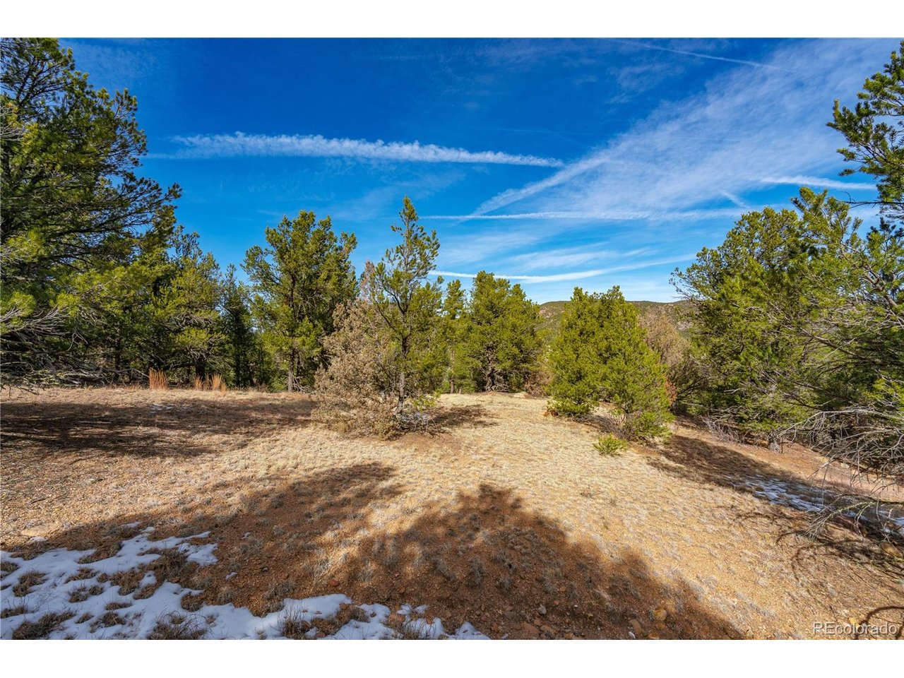 10 Prairie Dog Road Cotopaxi, CO 81223 - Photo 6 of 20 a view of a yard
