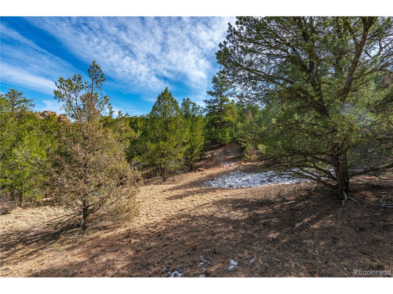10 Prairie Dog Road Cotopaxi, CO 81223 - Photo 7 of 20 a view of a yard with a tree