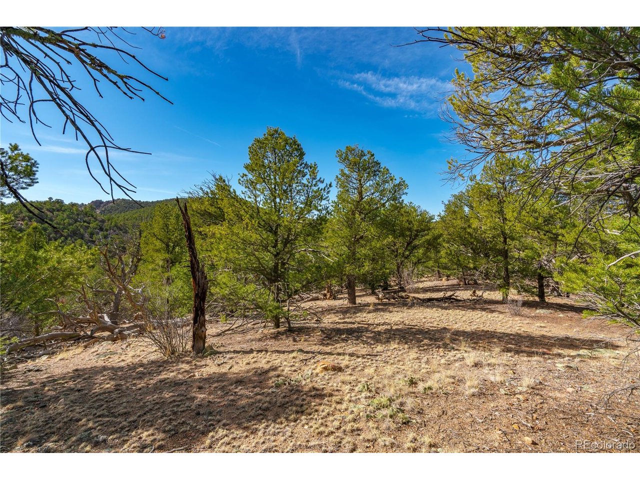 10 Prairie Dog Road Cotopaxi, CO 81223 - Photo 8 of 20 a view of a yard