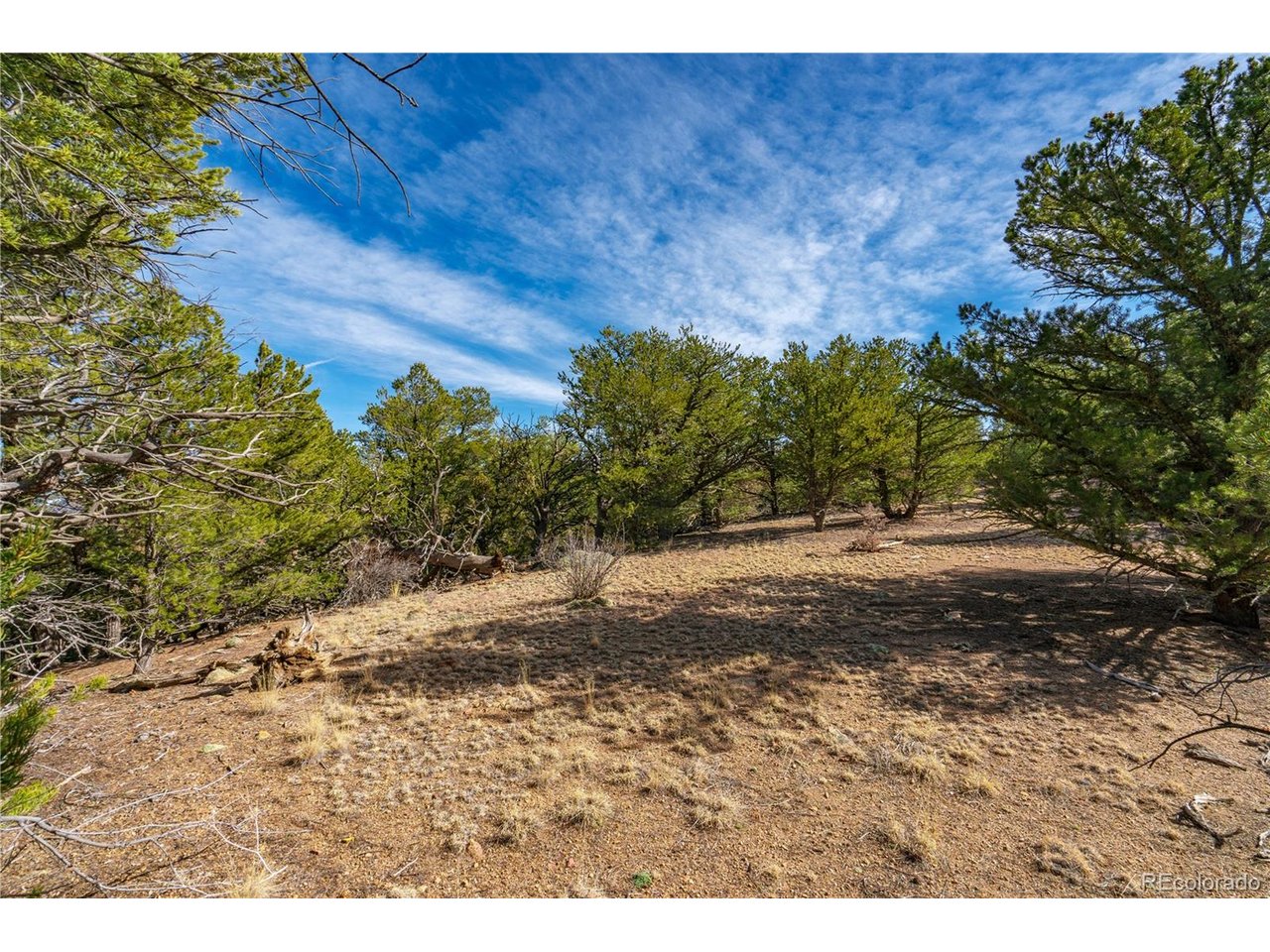 10 Prairie Dog Road Cotopaxi, CO 81223 - Photo 9 of 20 a view of a yard with a tree