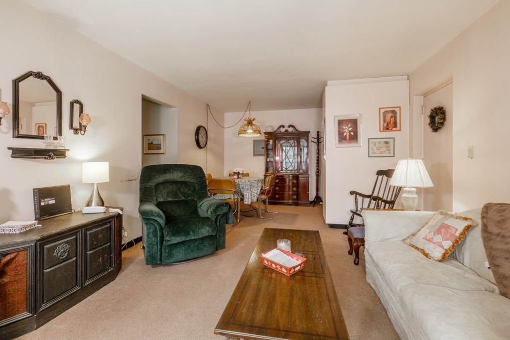 38 Juniper Street, Unit 112 Brookline, MA 02445 - Photo 6 of 13