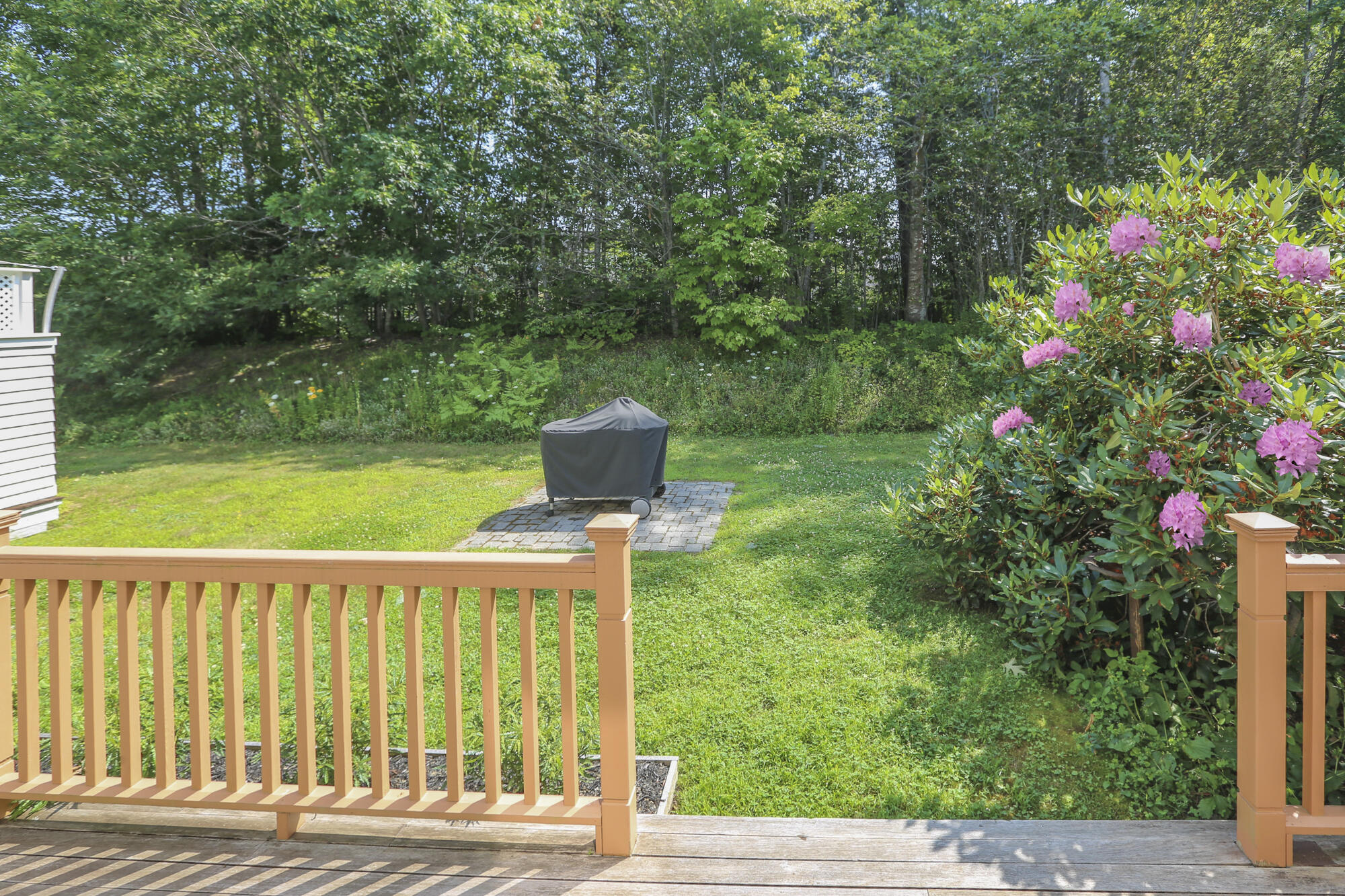 28 B Springbrook Drive, Unit TH10 Belfast, ME 04915 - Photo 28 of 50 28BSpringBrook3