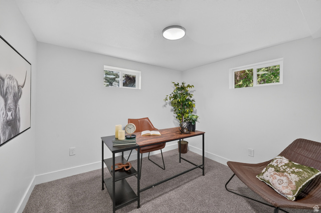 546 West 200 South Payson, UT 84651 - Photo 23 of 45 Bright room featuring two windows with exterior foliage, neutral wall tones, white trim, and gray carpet