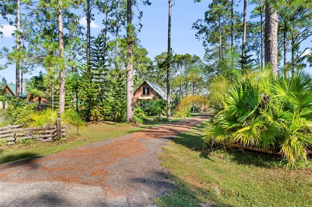a view of a yard with plants and trees