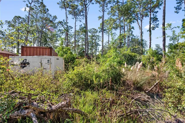 a view of swimming pool with lawn chairs and plants