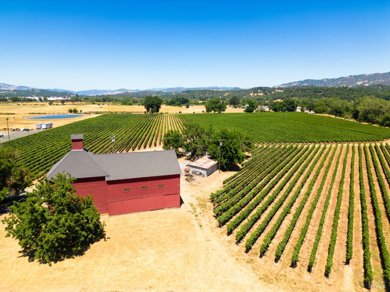 a view of a lake with a city view
